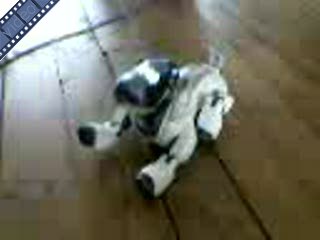 Hij kan De Dijk spelen en dan van der Lubbe immiteren.