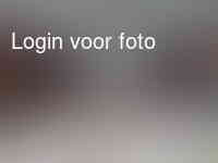 En dan lekker de paarden eten geven
