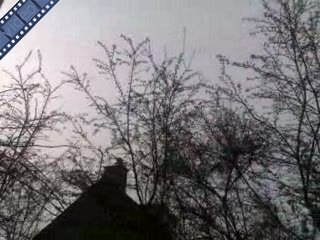 Ziet iemand iets bewegen?
