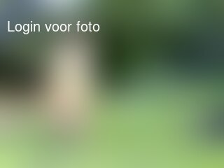 Dat zijn natuurlijk leuke speeltjes.
