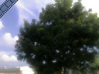 Weer een nieuwe decoder...