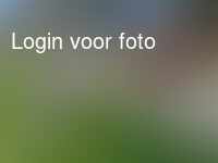 Opa helpen met paarden voeren