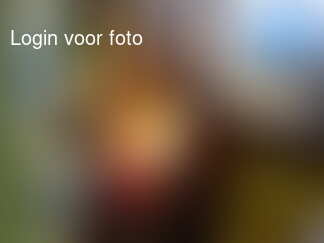 zo bedoelde ik het inderdaad!