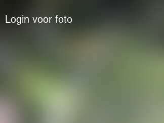 Gaat niets boven wat hulp!