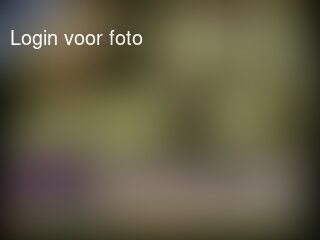 Uitzending gemist service ...