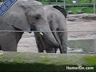 Ah...weer eens een bijdrage van vrind Jean