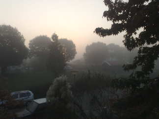 Wat een mooie ochtend!