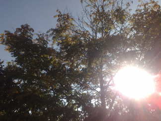 Krijg zin in wintersport van dit weer