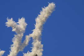 Woubrugge in de winter