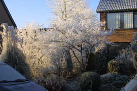 Woubrugge in de winter