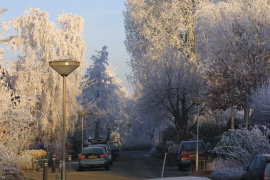 Woubrugge in de winter