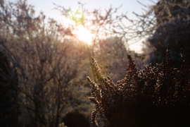 Woubrugge in de winter