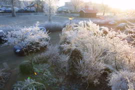 Woubrugge in de winter