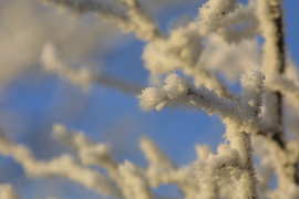 Woubrugge in de winter