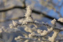 Woubrugge in de winter