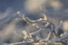 Woubrugge in de winter