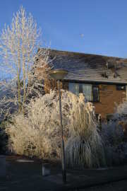 Woubrugge in de winter