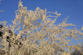 Woubrugge in de winter