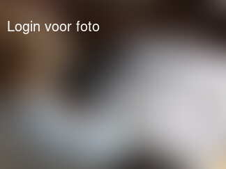 De mannen kijken even voor wat scheepsbeslag