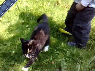 Vier voeter vriendje