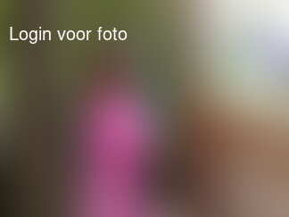 We zijn weer hard aan het werk