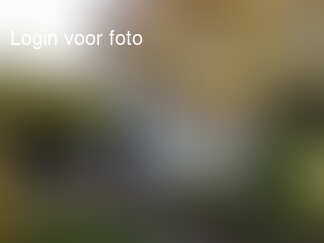 Project voor vandaag