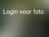 actie fotos