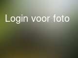 actie fotos