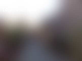 1 weekend,5 bomen uit de grond