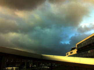 Dat wordt takken ruimen in de sneeuw!