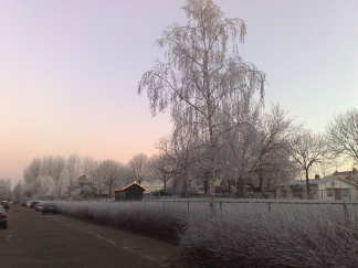 Wat lag de straat er vanmorgen pitoresk bij!