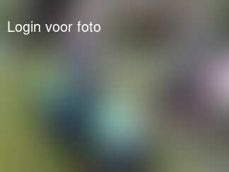 Eindelijk eens een mooie dag voor het kado van opa en oma!