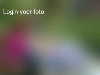 Lekker lunchen met mijn frummel