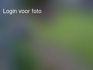 Lekker aan het werk bij Opa en Oma