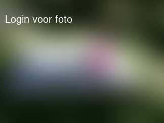 Lunchen met mijn kletskous is zo gezellig!