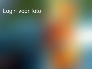 Vooral de motor is gaaffff