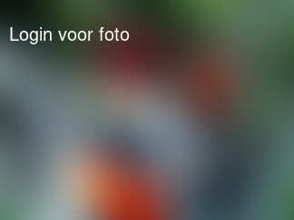 Heerlijk dagje aan de Hemmen