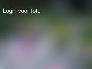 Lekker lunchen met de meisjes