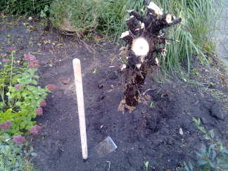 Even wat woede eruit gooien