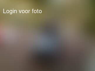 Ik denk dat ik de Suzuki maar bewaar tot ie 18 is