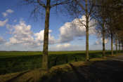 Polder