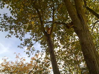 Reddingsactie was nodig