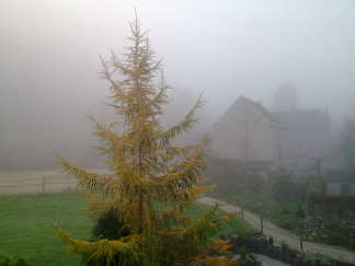Mist in les ardennes