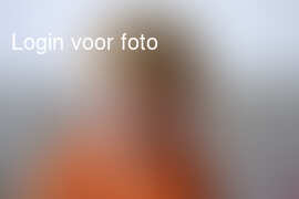 Over mannetje gesproken