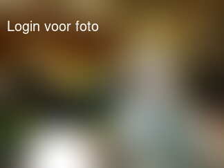 Stoer mannetje, tot nu toe geen kik gegeven