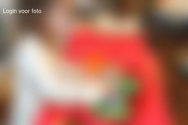 Paarden was in de spuitplaats met echt water