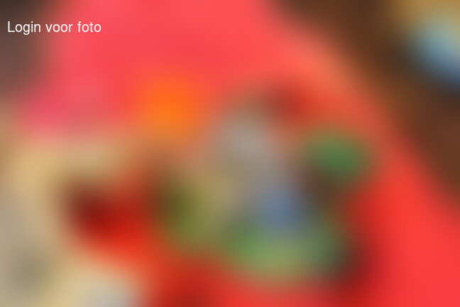 Paarden was in de spuitplaats met echt water