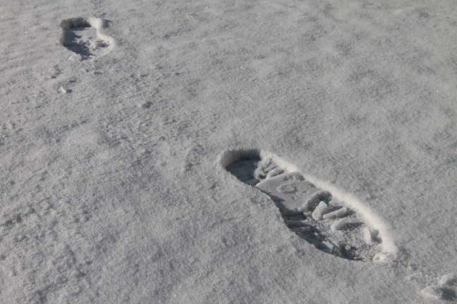 Even buiten gelunched met de 7D