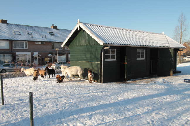 Even buiten gelunched met de 7D