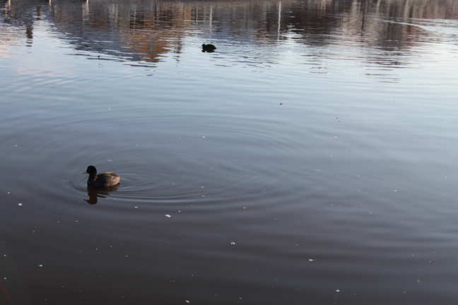 Even buiten gelunched met de 7D